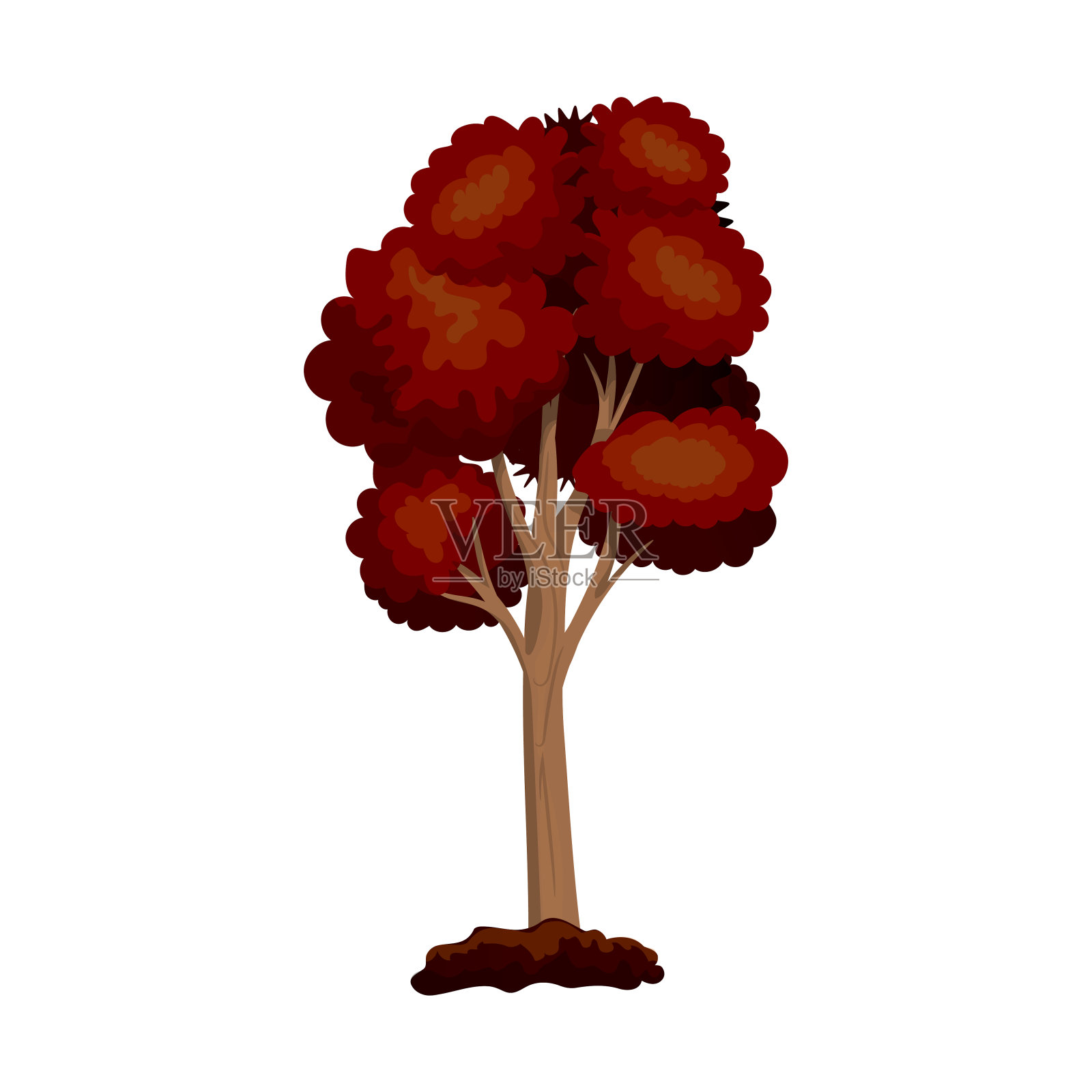 真实的绿色落叶树孤立在白色背景-向量插画图片素材