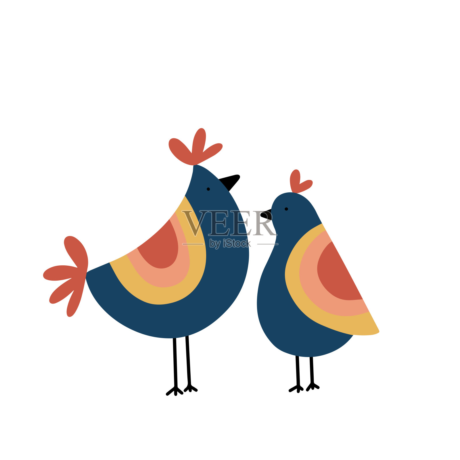 可爱的鸡对公和母。插画图片素材