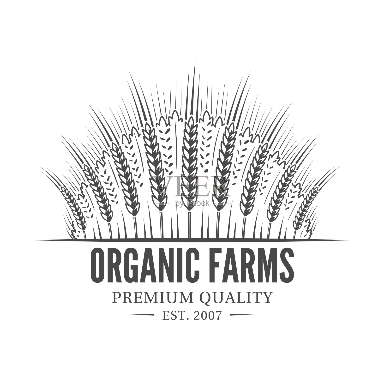 农场市场标签孤立在白色背景上插画图片素材