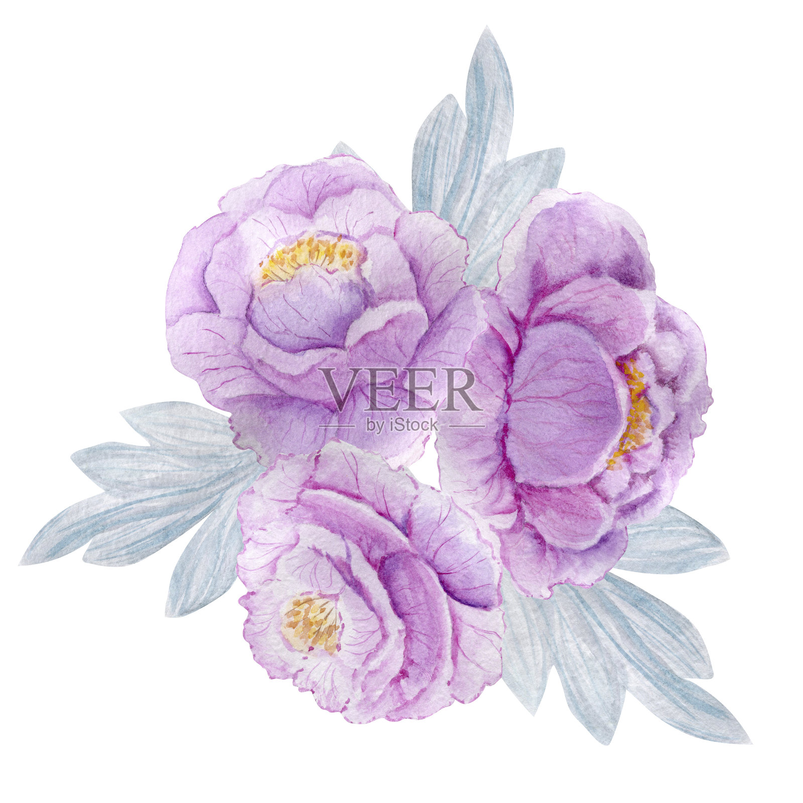 一束粉红色的玫瑰，一束人插画图片素材