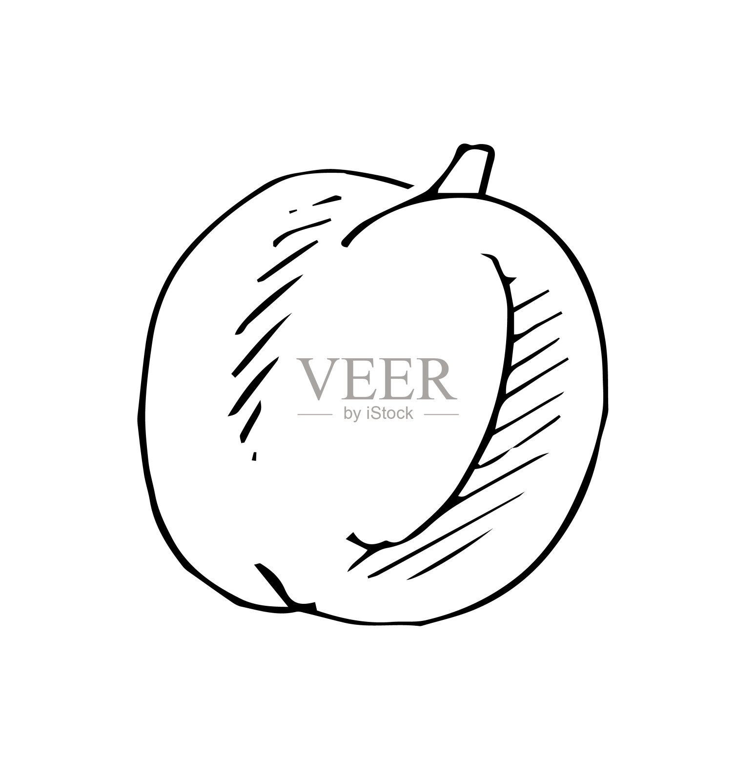 桃子成熟的蔬菜。食用蔬菜水果。手绘轮廓。草图孤立在白色背景上。向量插画图片素材
