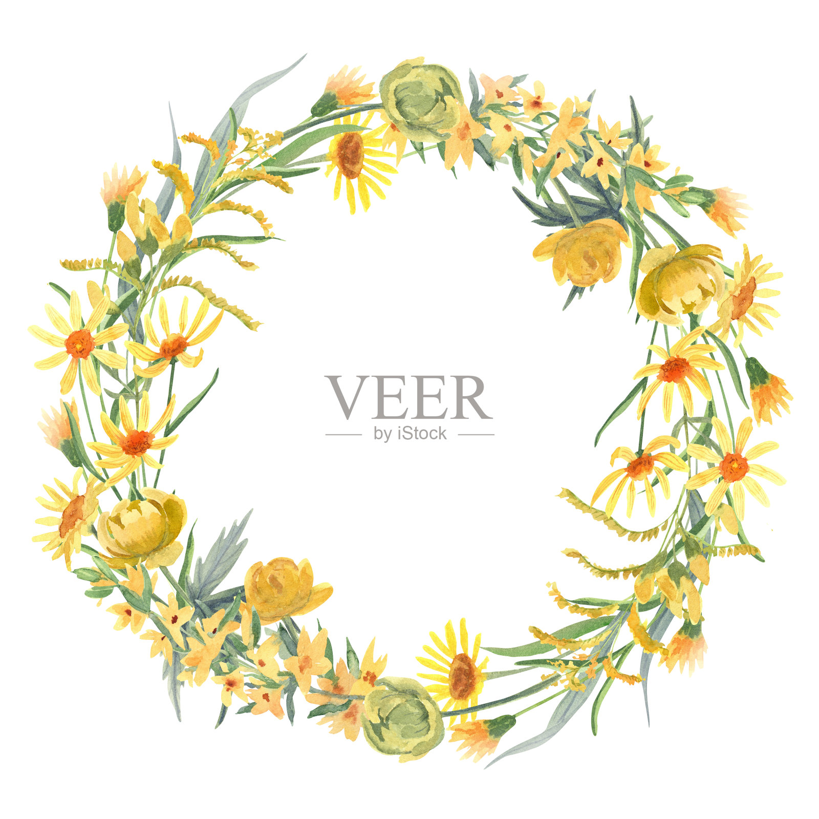 水彩手绘花卉圆形框架与不同种类的黄色野花孤立在白色。插画图片素材