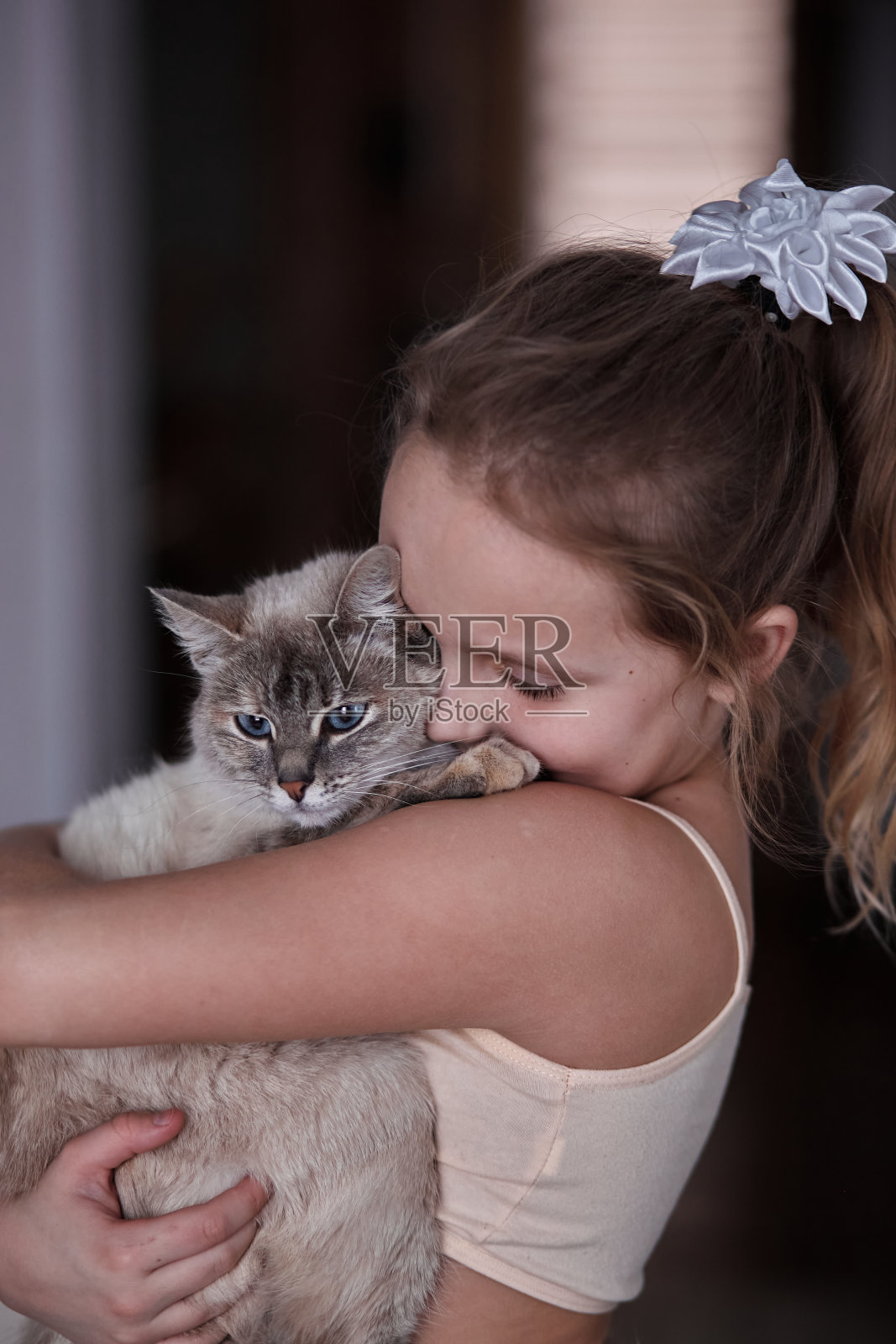 手里拿着宠物猫的孩子照片摄影图片