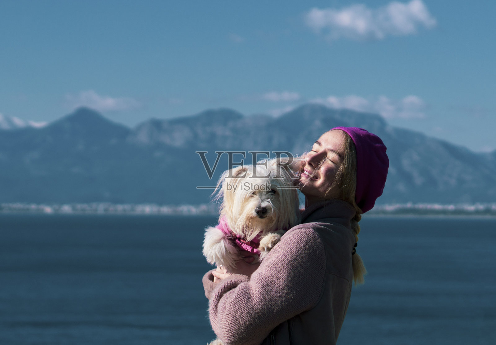 宠物爱照片摄影图片