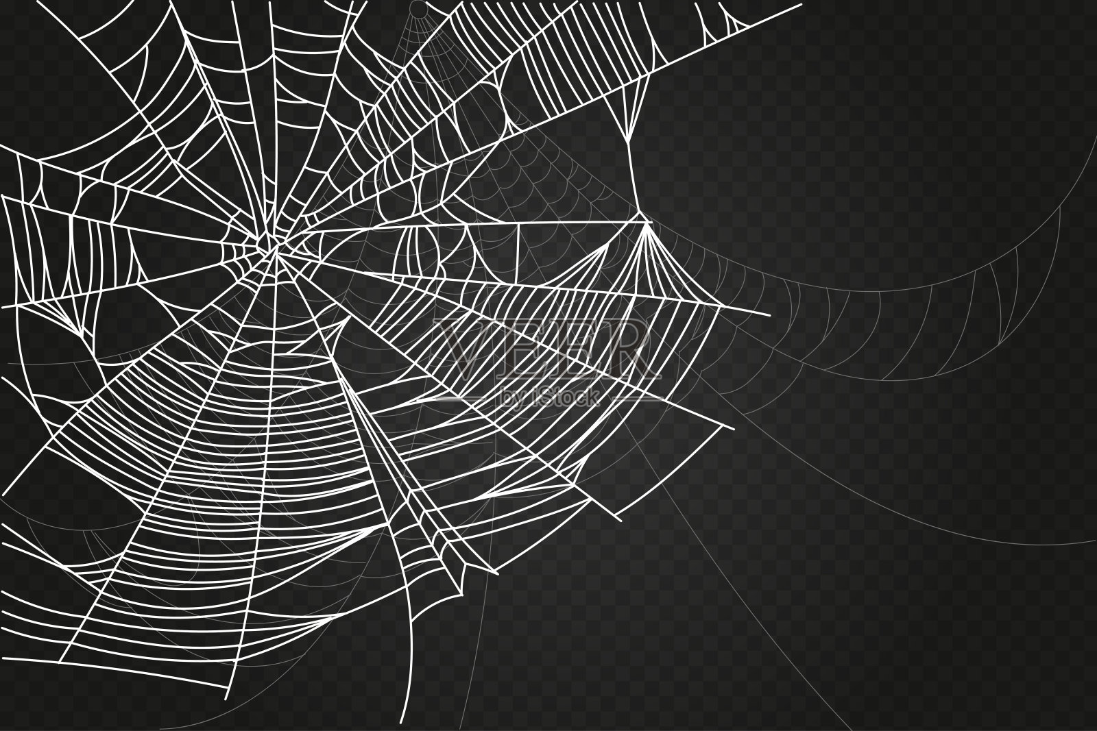 蜘蛛插画图片素材