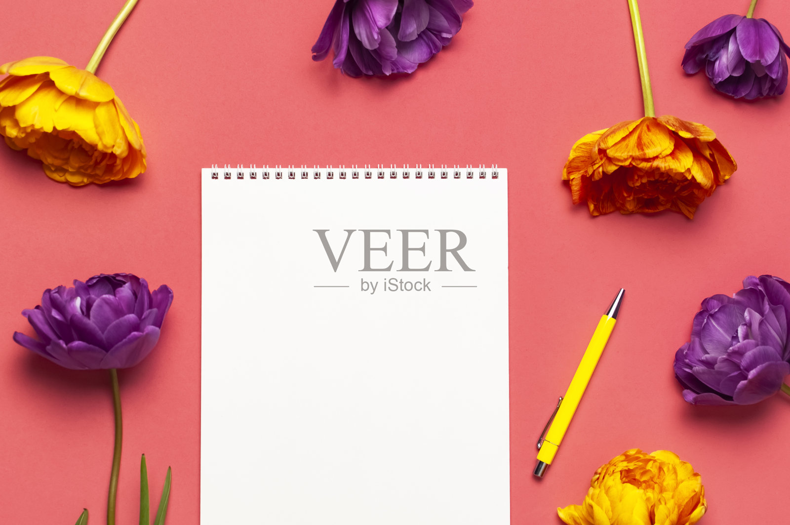 春花平躺。黄色丁香牡丹郁金香白色空白相册笔记本写作笔在粉红色的背景。可爱的贺卡3月8日，母亲节，节日，生日婚礼或快乐的事件照片摄影图片