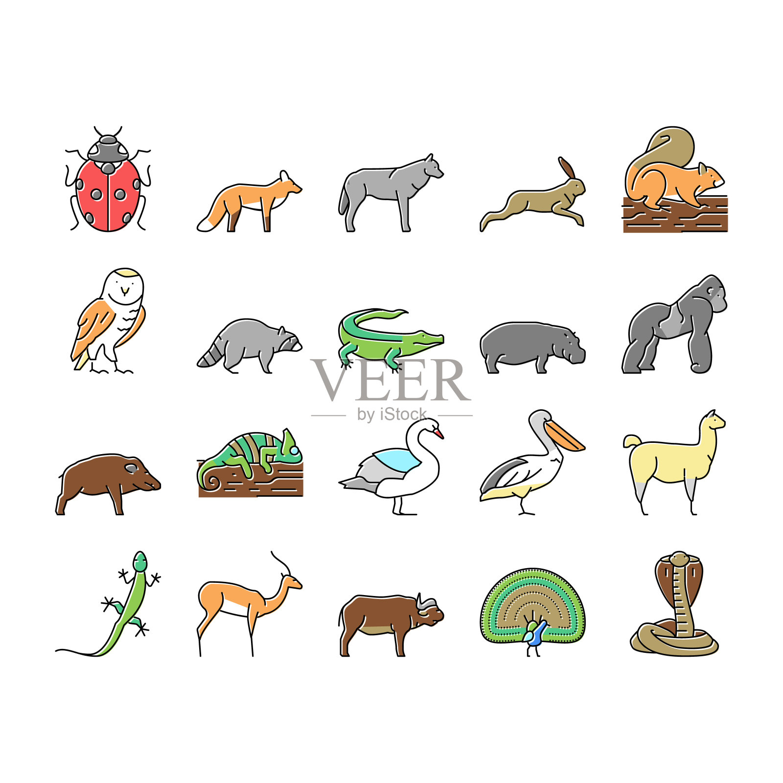 野生动物，虫子和鸟的图标设置向量。插画图片素材