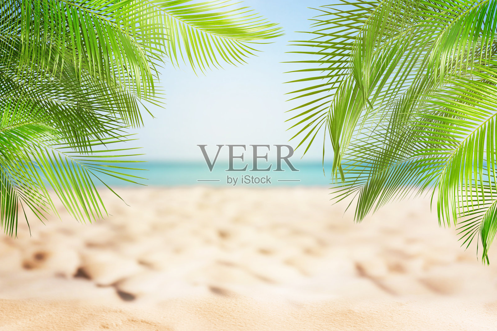 在阳光明媚的日子里，海边有棕榈树的沙滩照片摄影图片