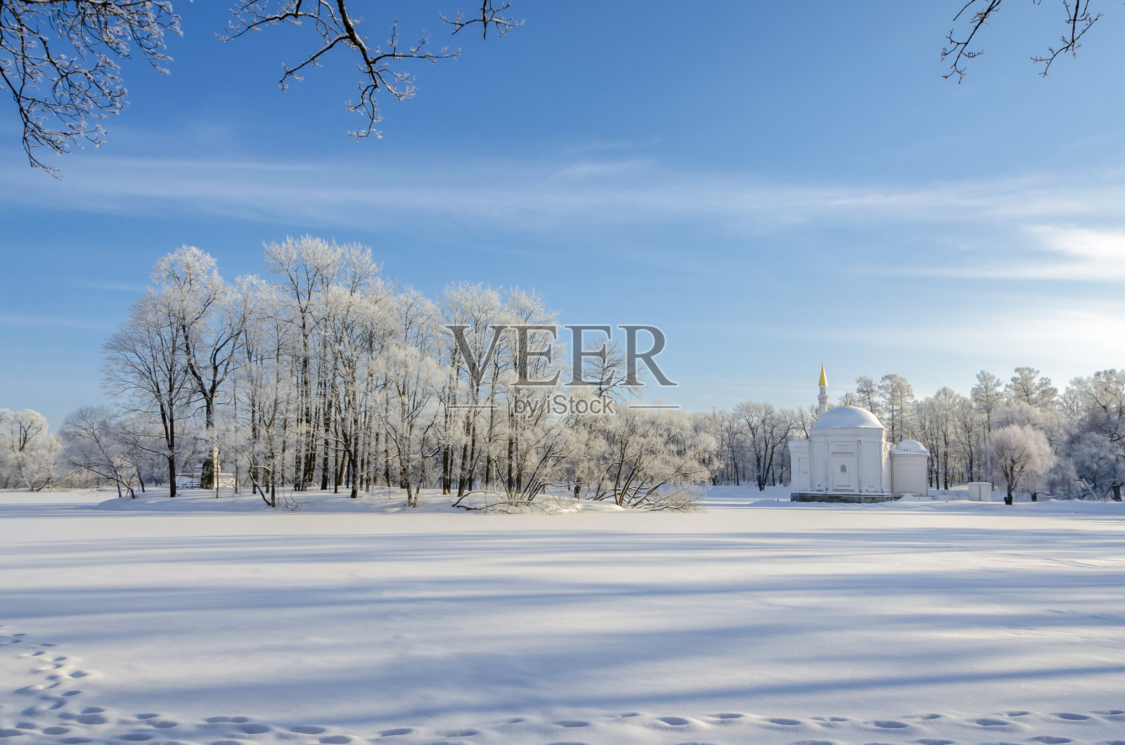 雪中的冬季公园，俄罗斯圣彼得堡照片摄影图片