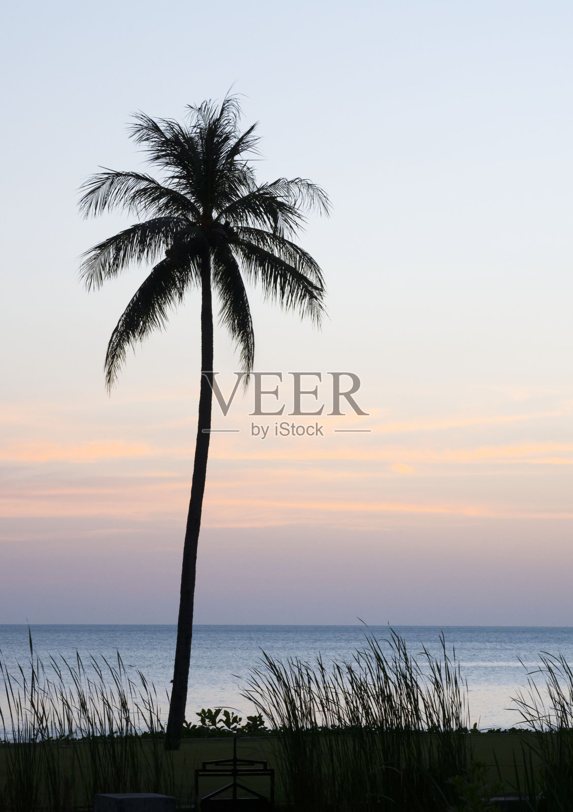 日落时分椰子树的剪影。照片摄影图片