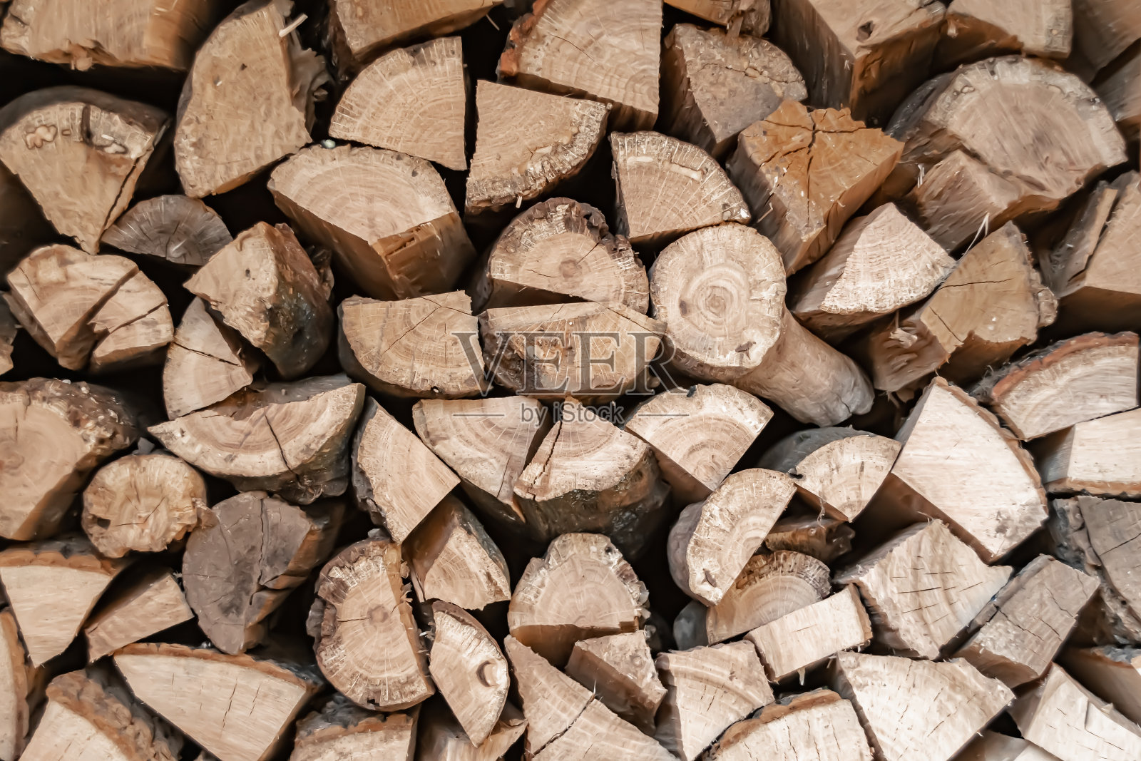 橡木照片摄影图片