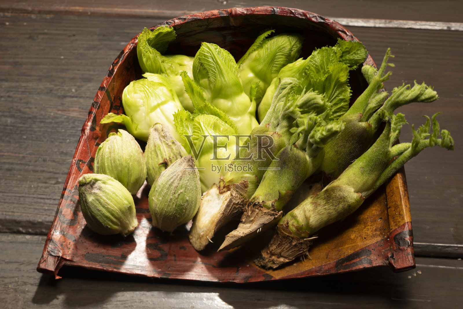 春季野生植物日本照片摄影图片