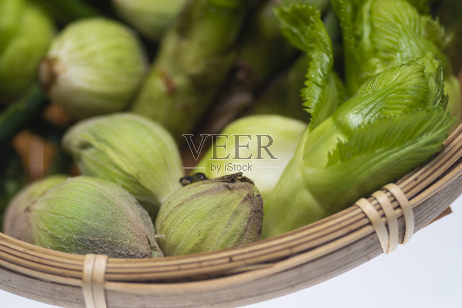 春季野生植物日本照片摄影图片