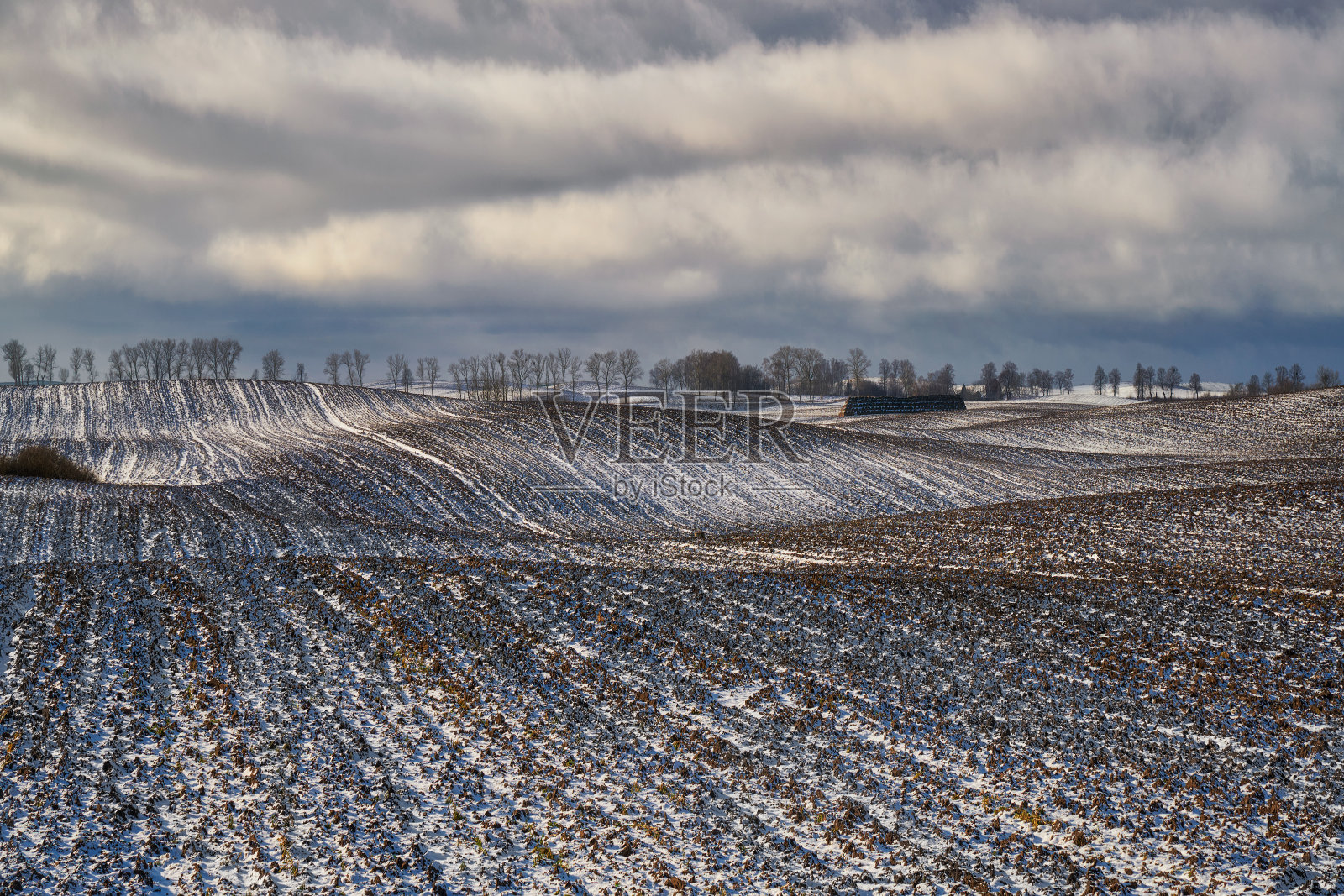 白雪覆盖的可耕地，波兰斯茨图姆附近照片摄影图片