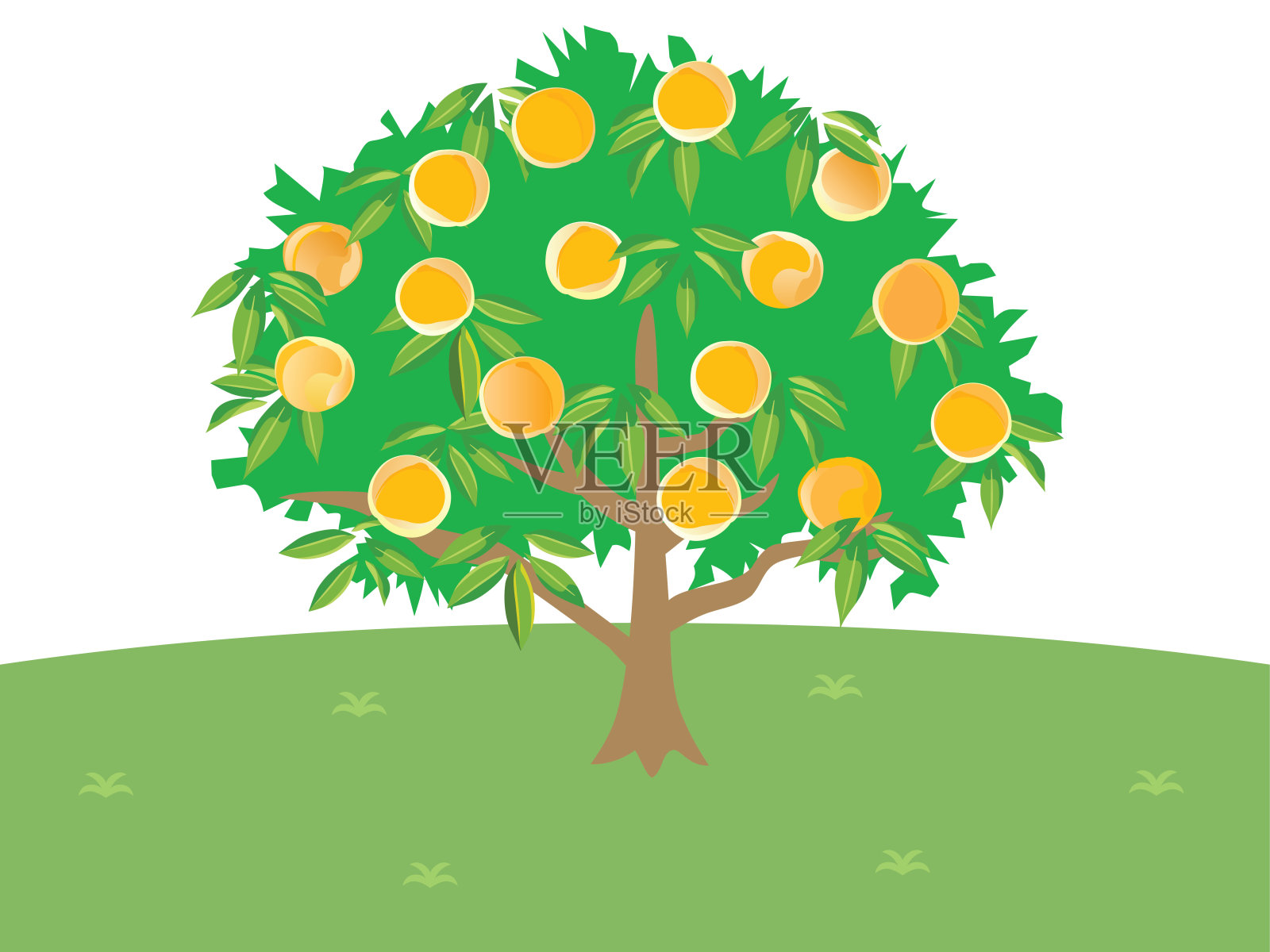 风景与黄桃树。插画图片素材