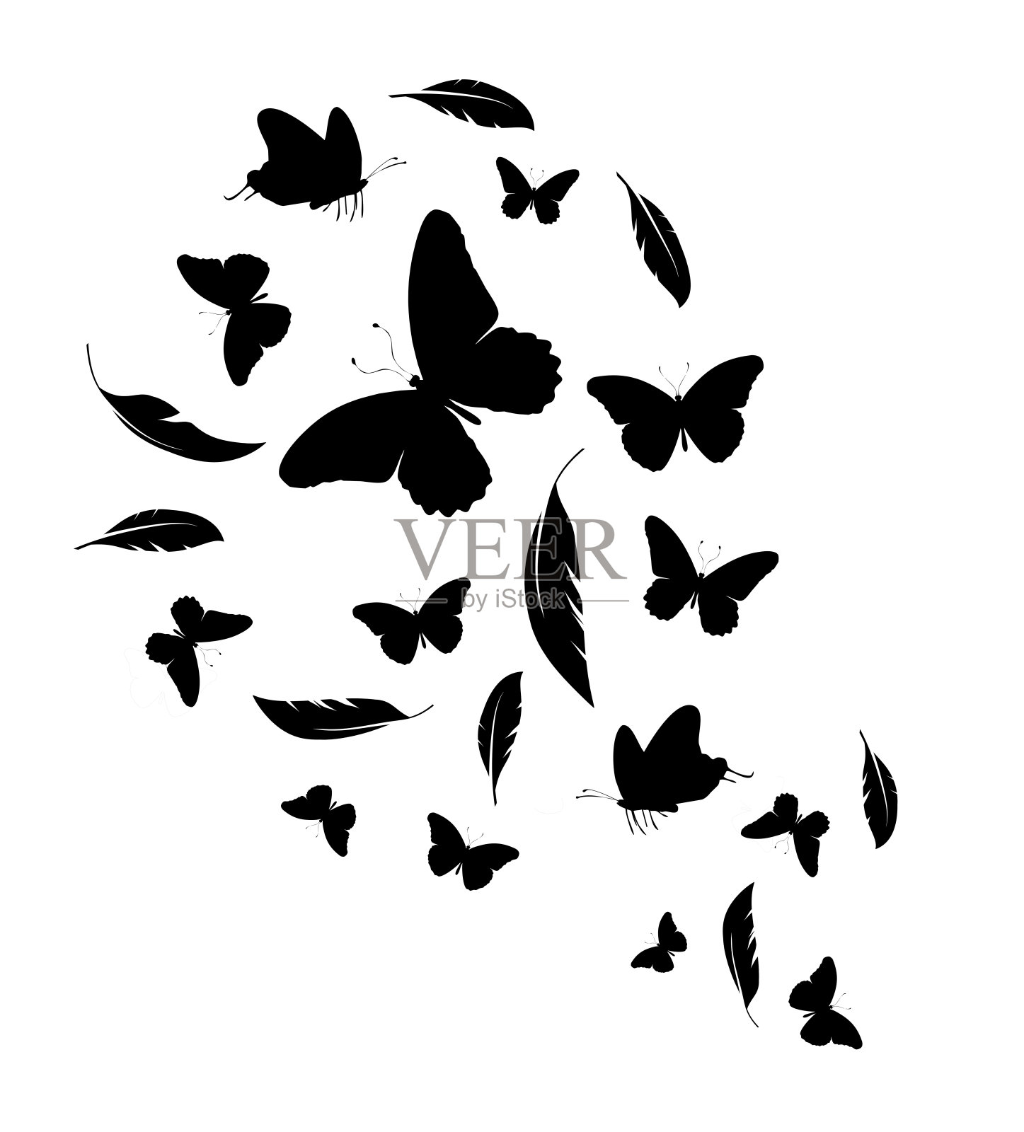 黑色羽毛和蝴蝶群孤立在白色背景上插画图片素材