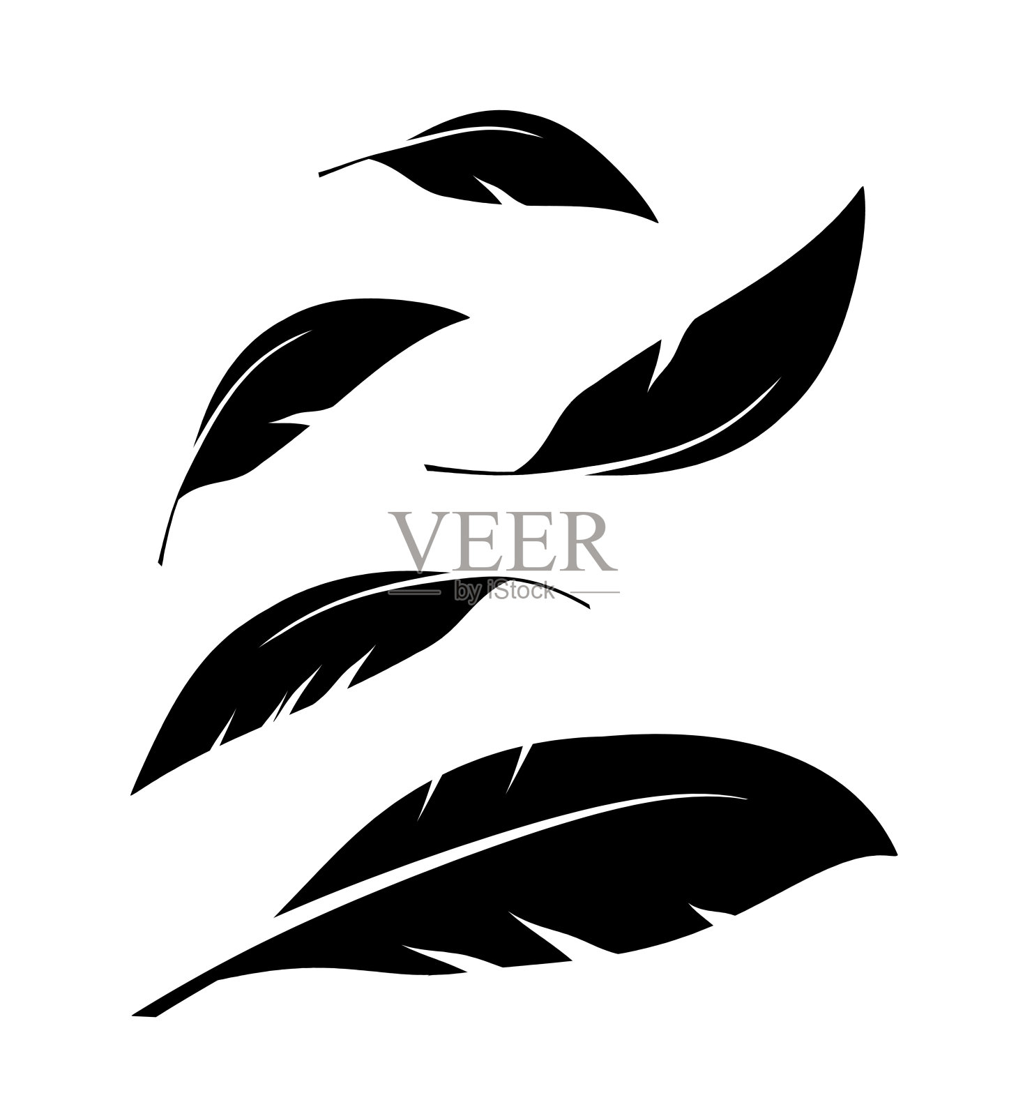 一群黑色羽毛孤立地落在白色的背景上插画图片素材
