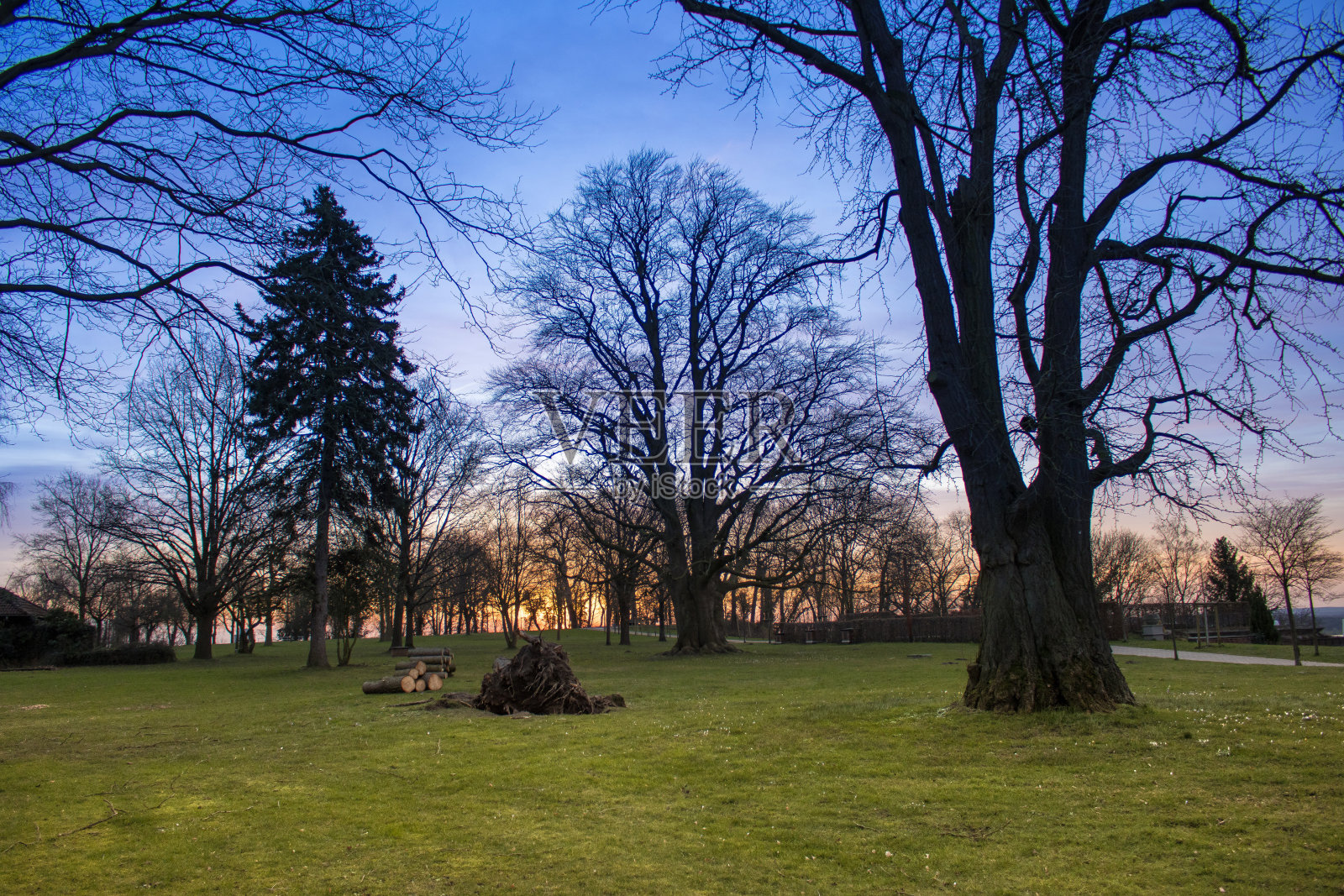 Lauenburg高贵的花园照片摄影图片
