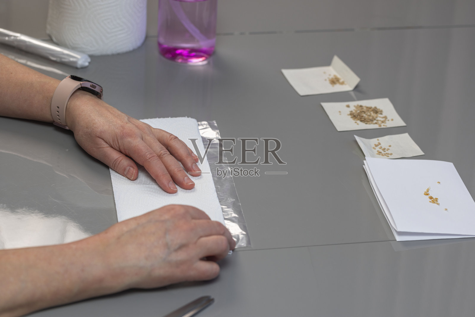 近距离观察女性的手准备西红柿和黄瓜种子播种在早春。瑞典。照片摄影图片