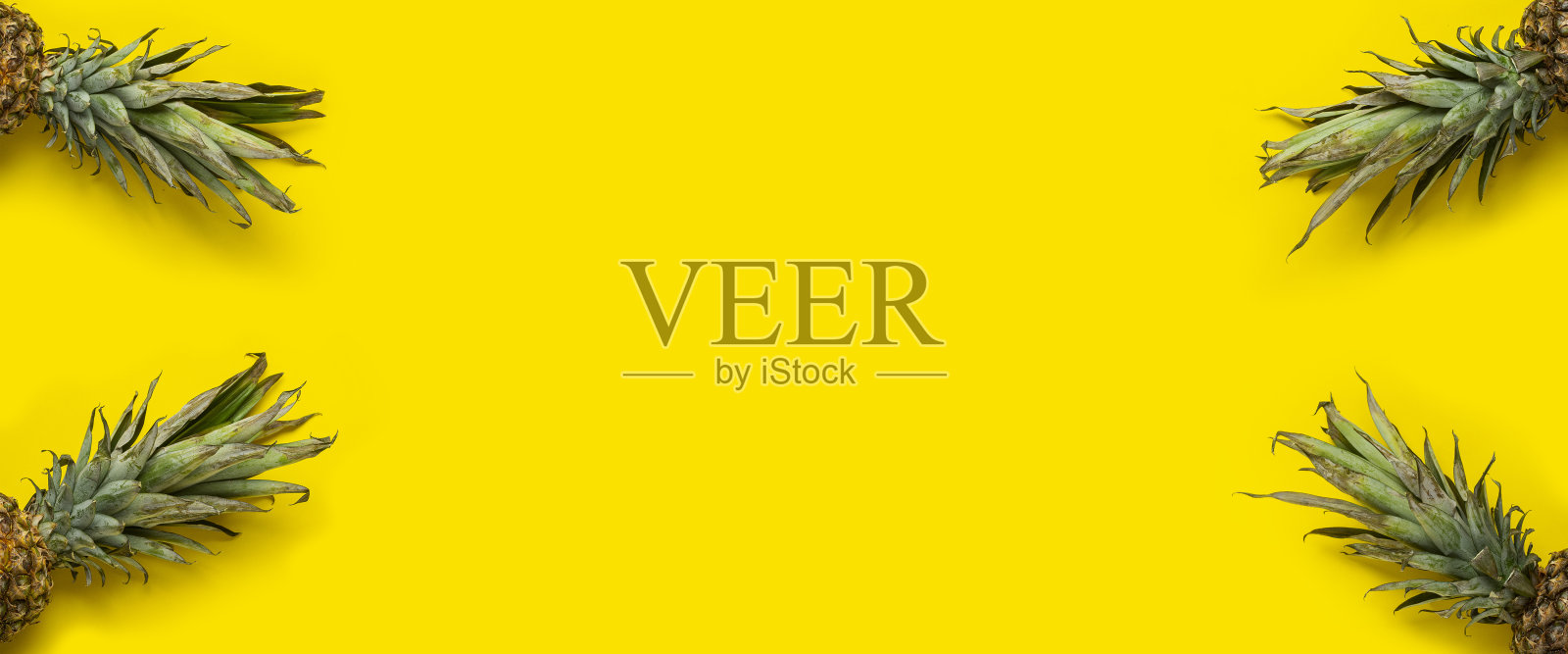 黄色背景上的菠萝绿色叶子。俯视图，平躺。横幅照片摄影图片