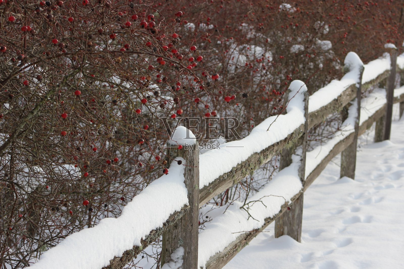 冬天的雪木栅栏照片摄影图片