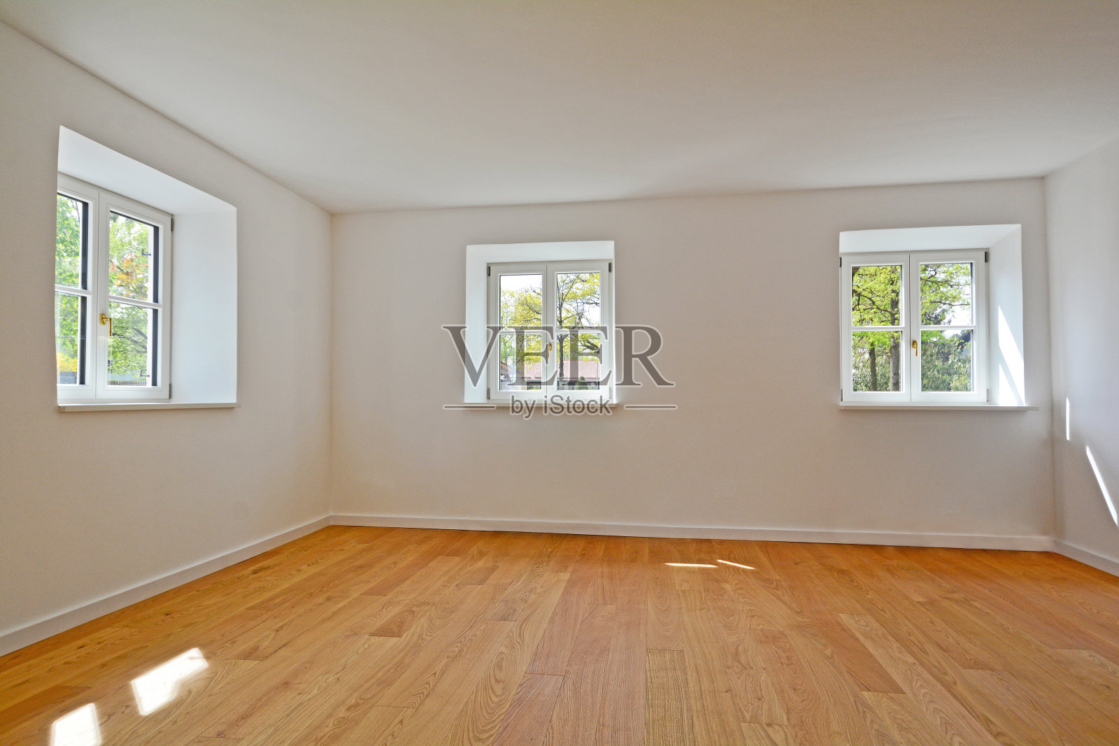 从旧房子到新建筑改造的设计理念——搬迁理念，搬进带有现代客厅和木地板的新公寓照片摄影图片