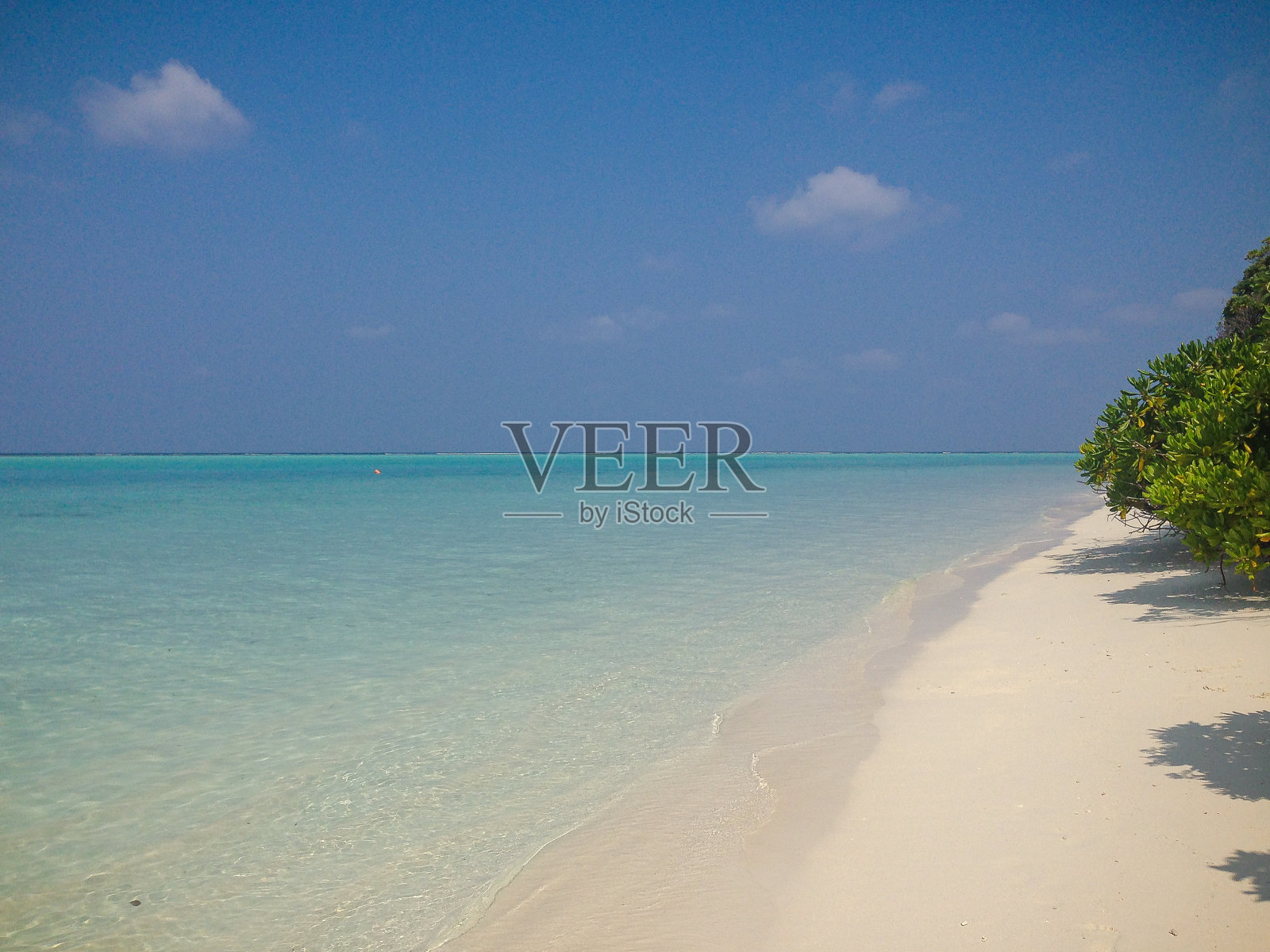 Thoddoo岛上美丽的沙滩和蔚蓝的海水。照片摄影图片