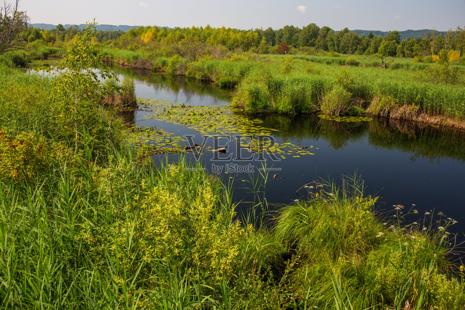 弗朗格从观景台上走了下来照片摄影图片