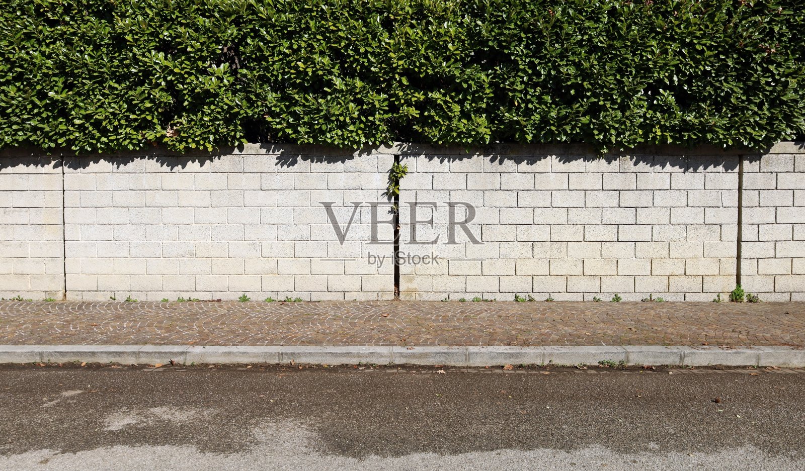 围墙由混凝土砖砌成，上面有绿色树篱。前面是斑岩人行道和柏油路。照片摄影图片