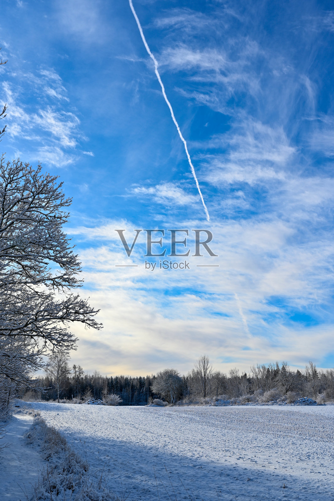 2022年2月的农田和美丽的天空照片摄影图片