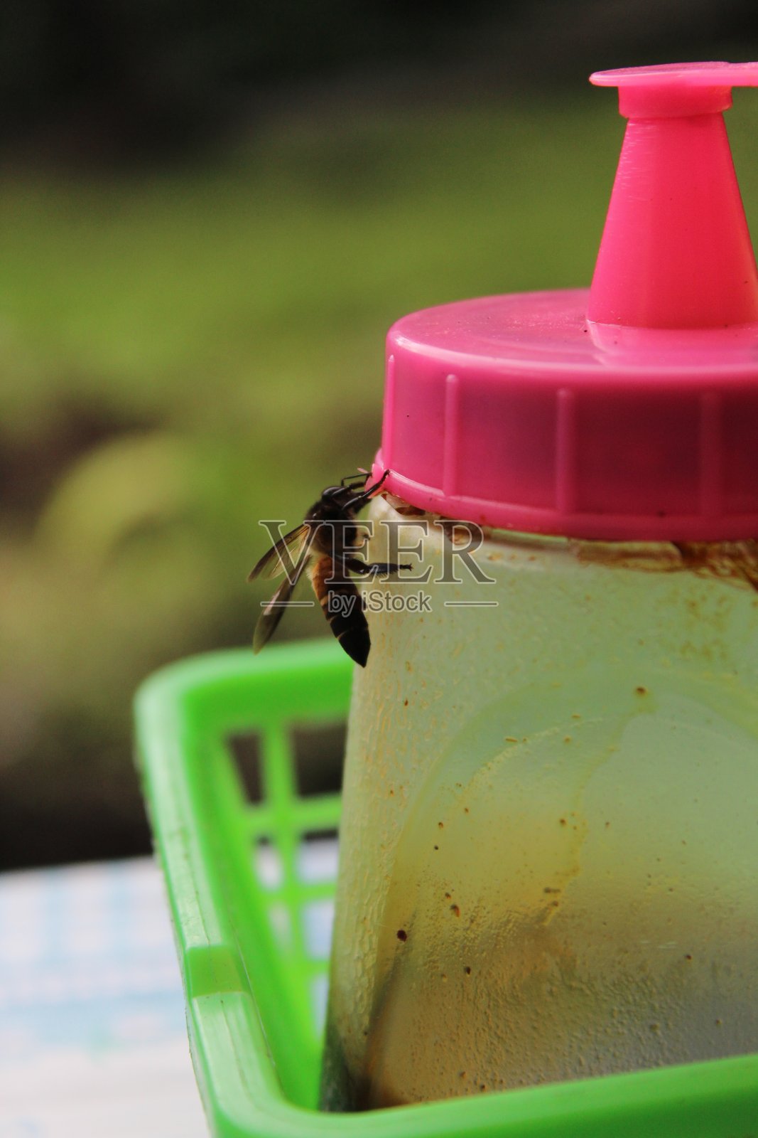 猎蜂酱油照片摄影图片