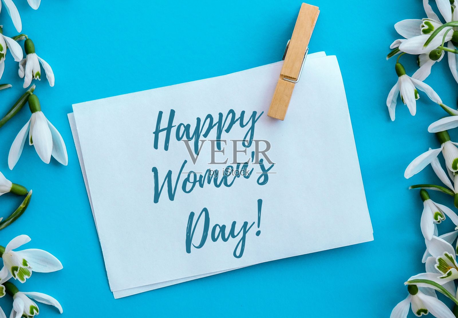 祝你妇女节快乐。春天花雪花莲。美丽温柔的花束。节日的概念照片摄影图片