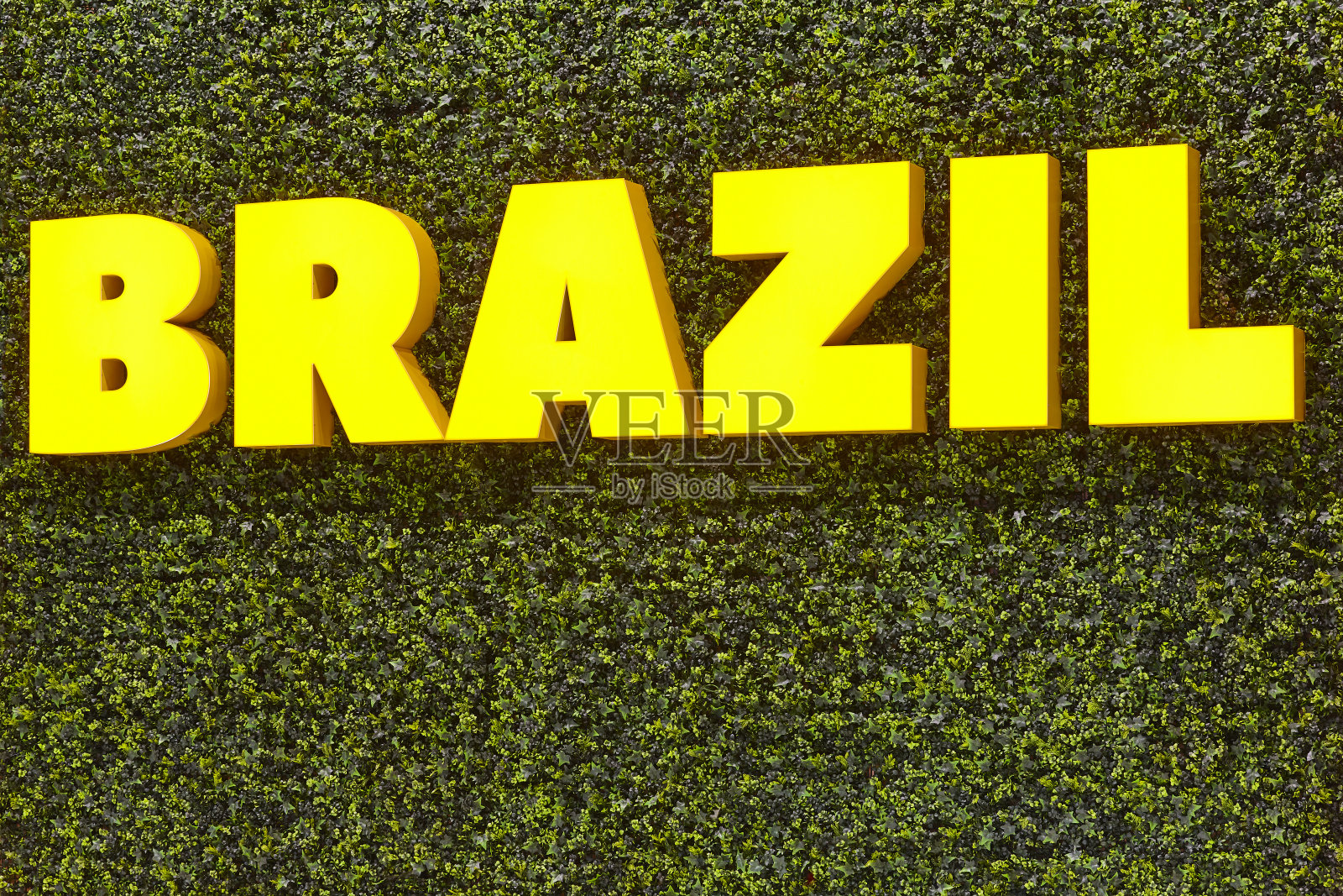 绿色植物背景上的巴西黄色标志文字。巴西照片摄影图片