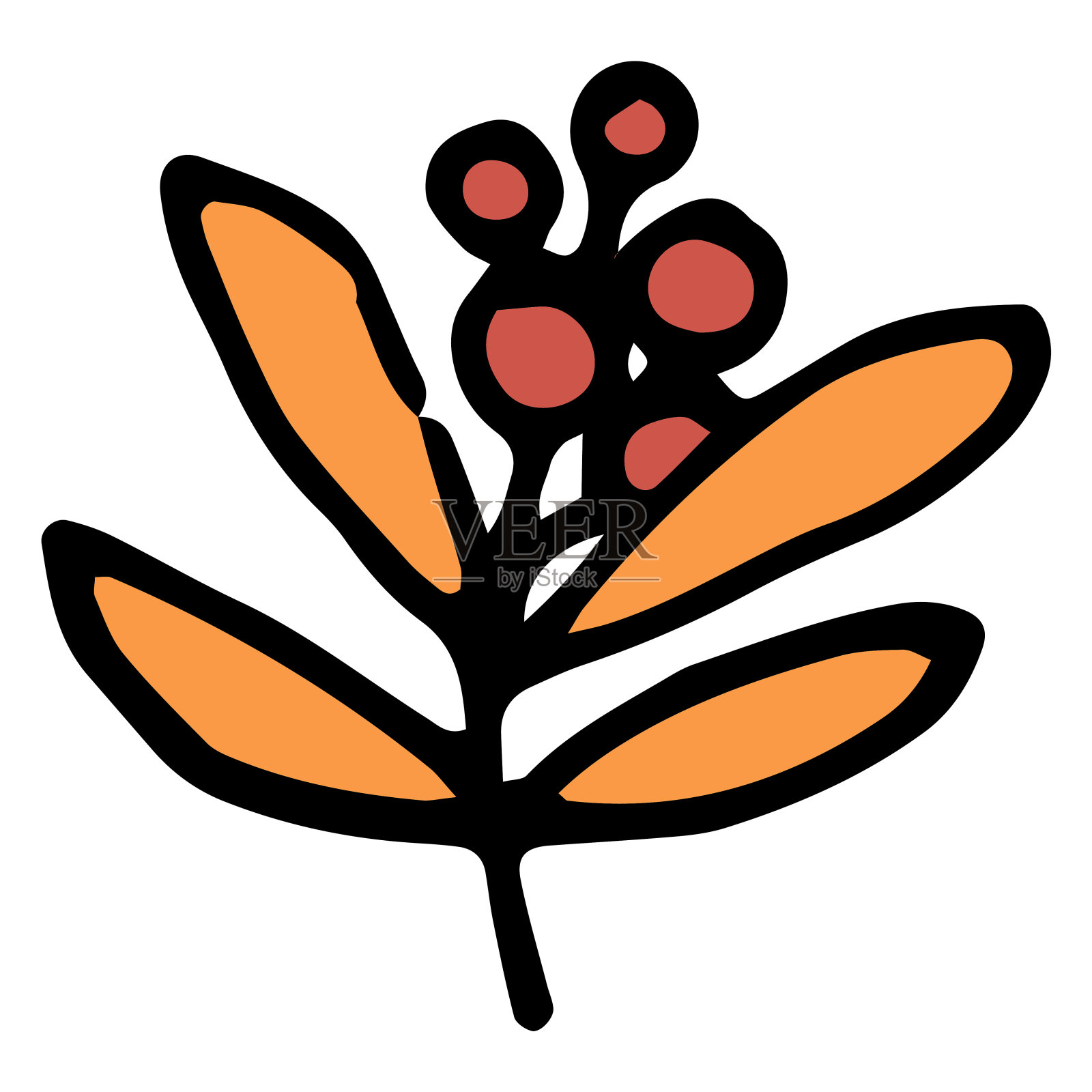 秋天的树枝，叶子和浆果呈扁平状。手绘的花朵，橙色的圆形叶子和红色的圆形浆果，白色上有黑色的轮廓插画图片素材