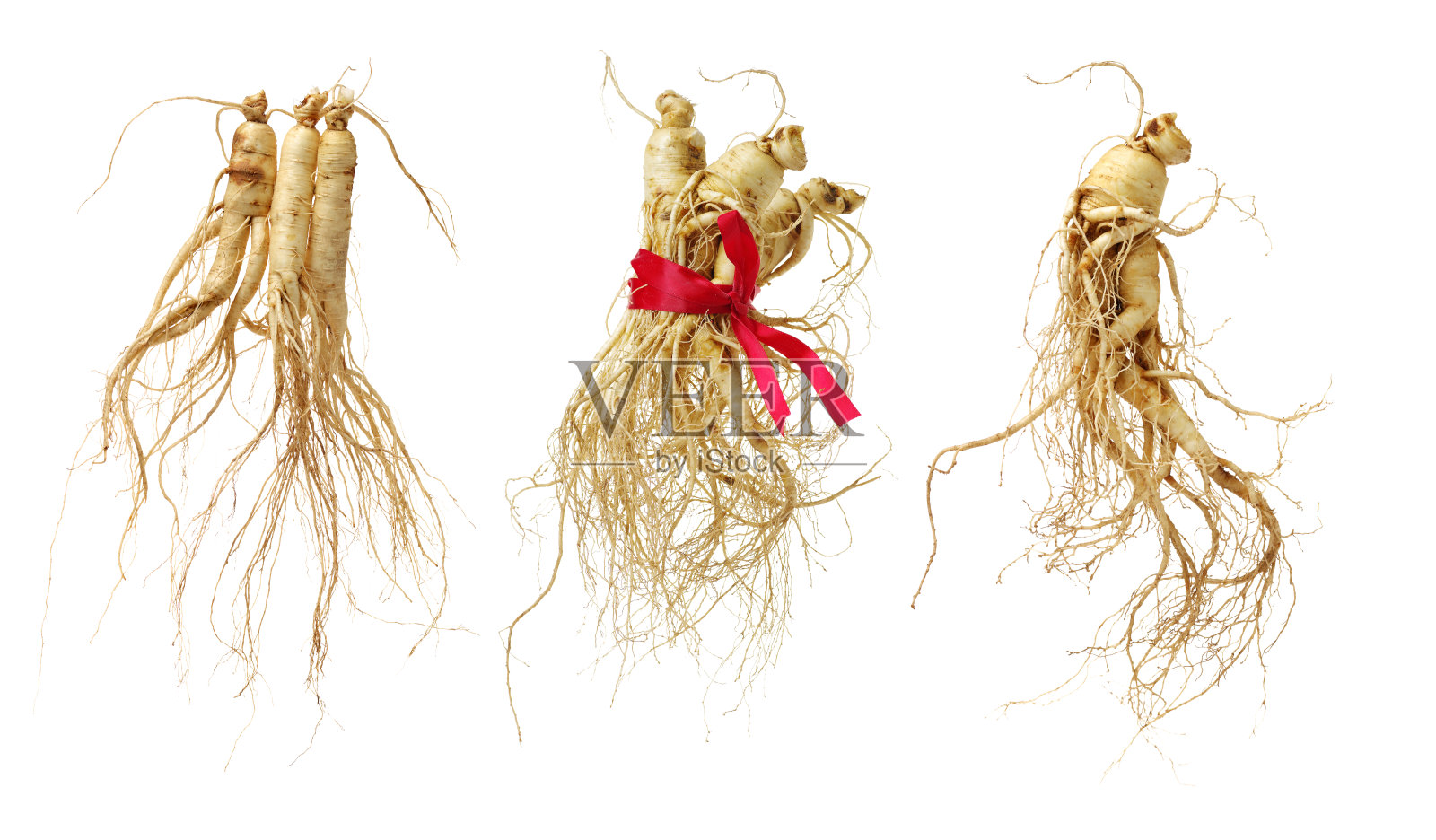 人参照片摄影图片