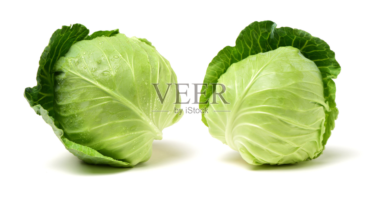 卷心菜照片摄影图片