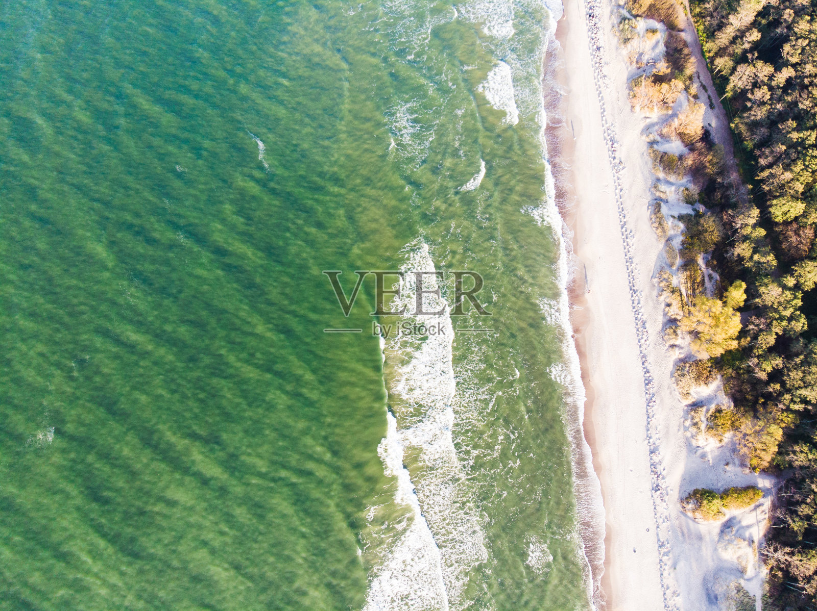 俄罗斯加里宁格勒的波罗的海照片摄影图片