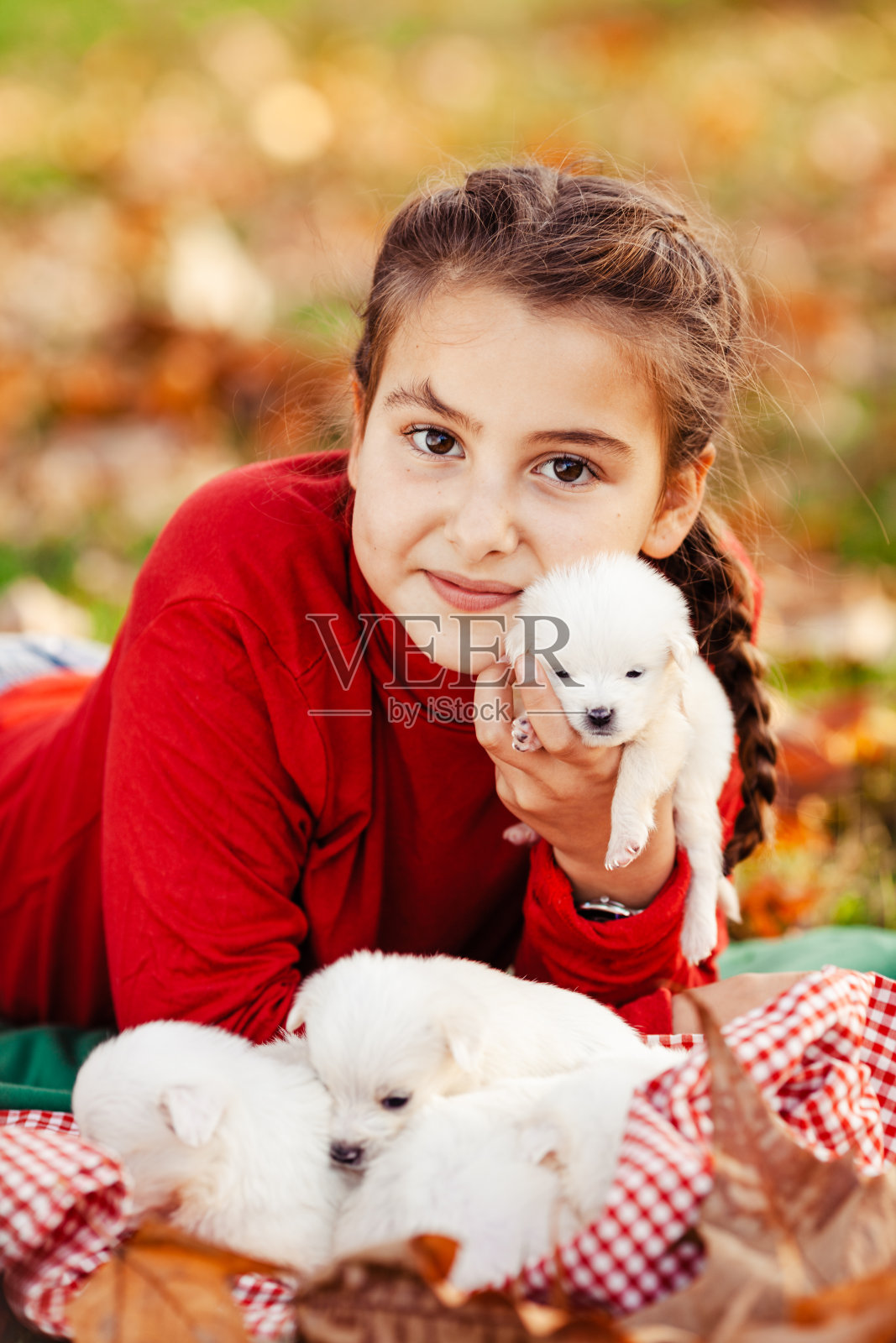 女孩与小狗玩耍照片摄影图片