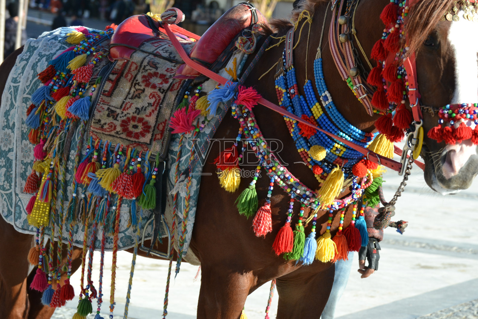 马具由艺术马丁非常别致照片摄影图片