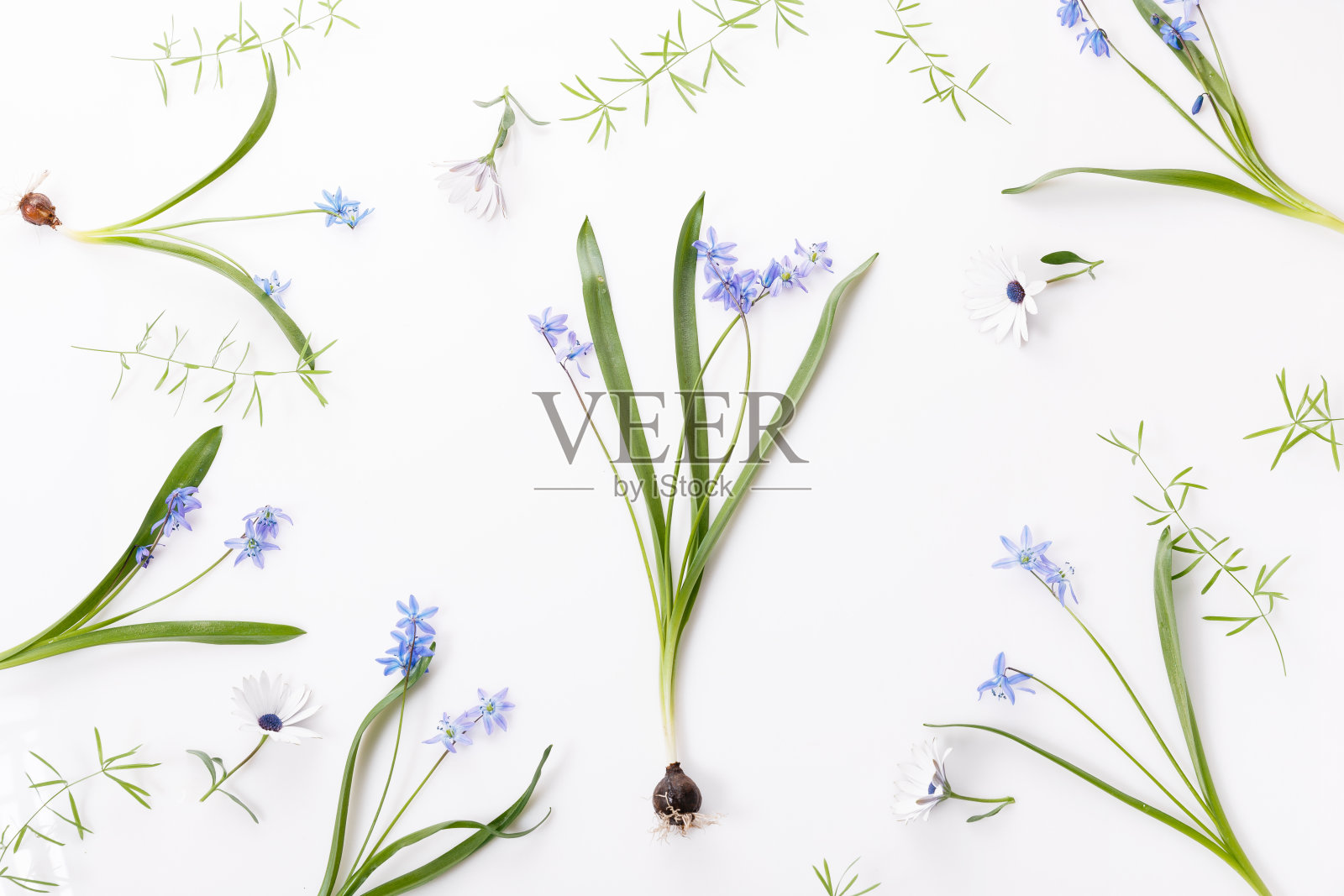 春架小花和雏菊，插花照片摄影图片