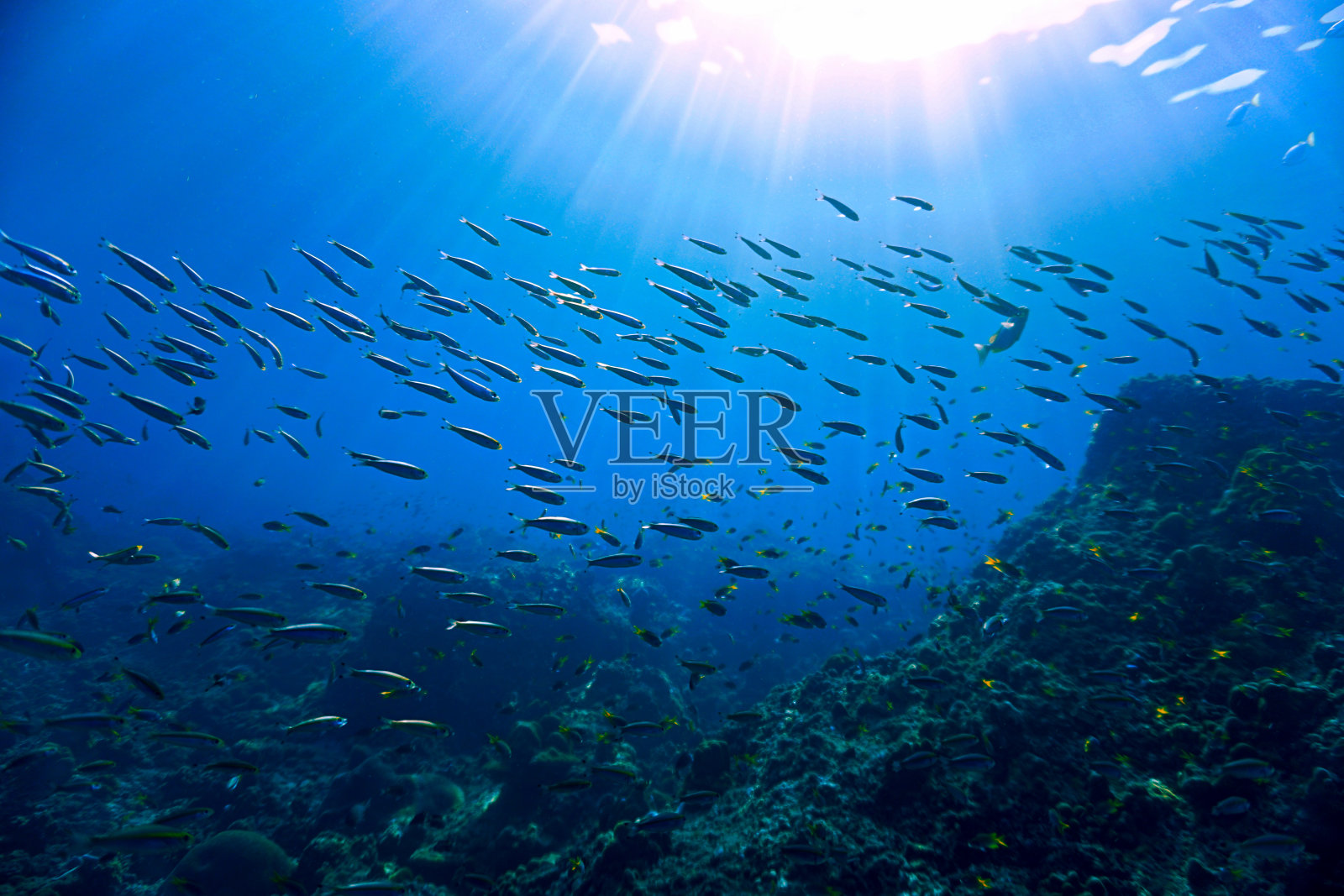 水下景观的光线照片摄影图片