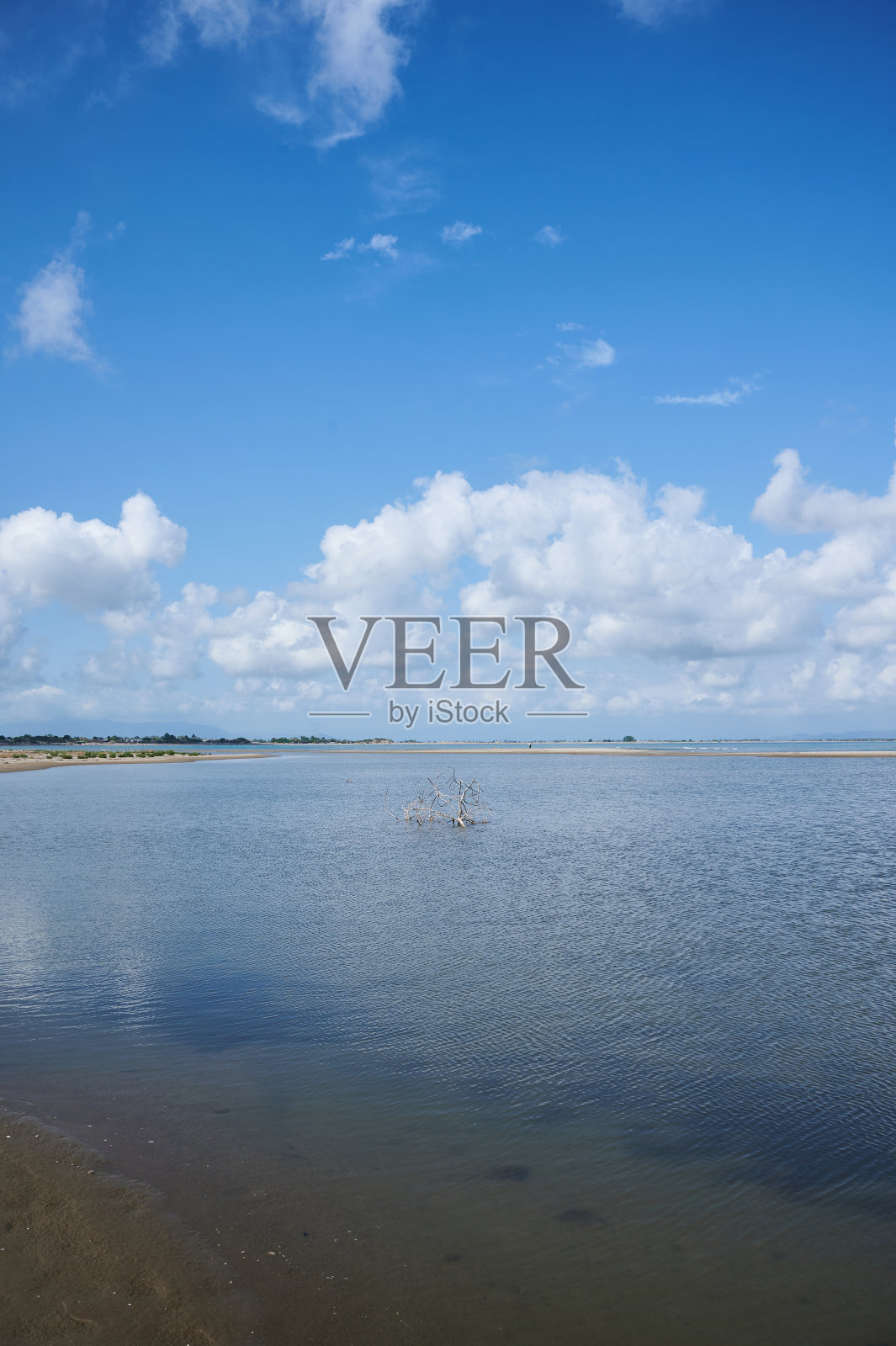 垂直拍摄的自然和野生的海滩照片摄影图片