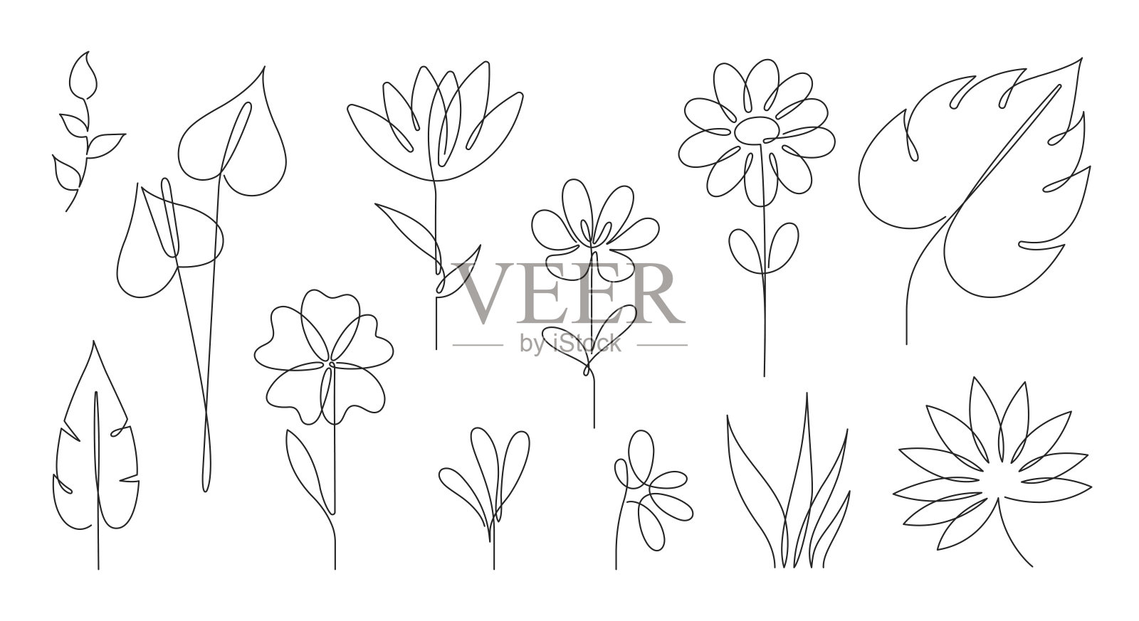 矢量集手绘，单连续线花，叶。艺术的元素插画图片素材