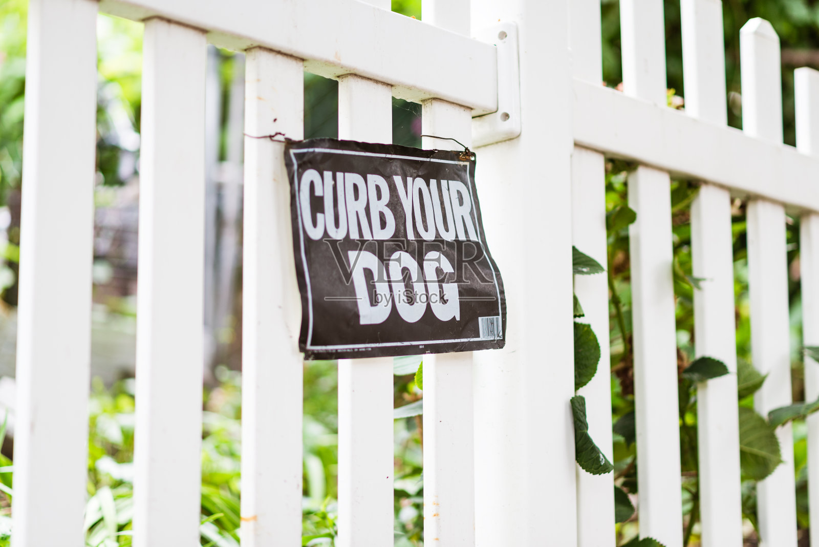 抑制你的狗照片摄影图片