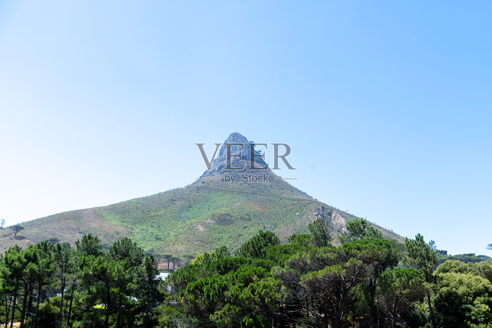 狮子头山和来自桌山的营地海湾地区照片摄影图片