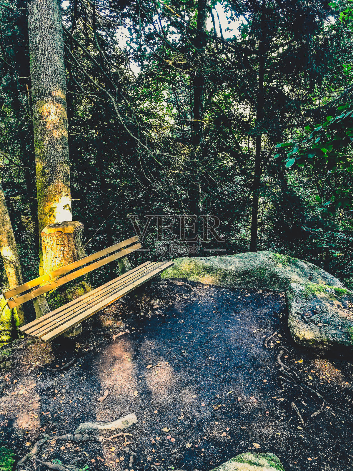 位于黑森林山脉中的一个银行。照片摄影图片