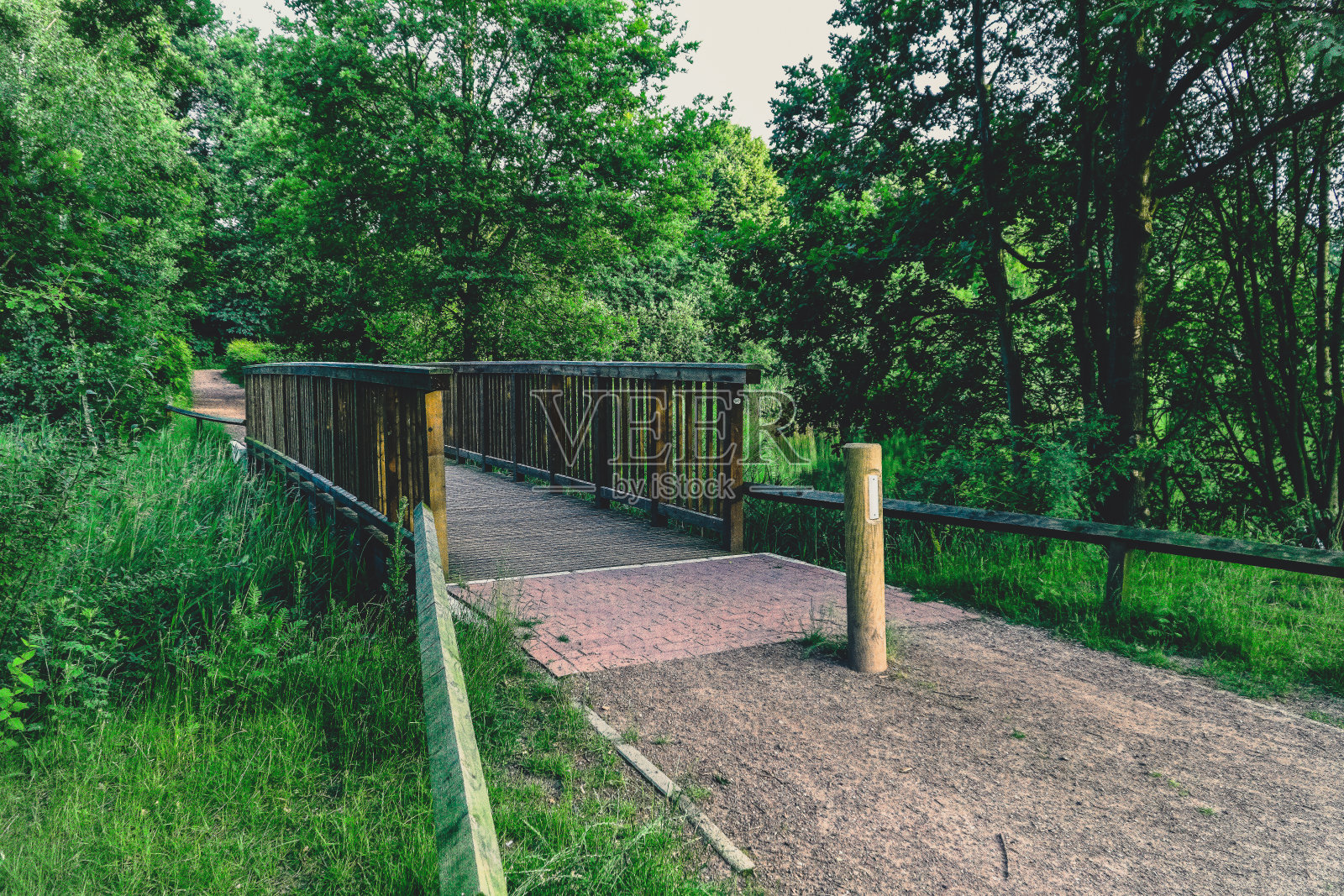 德国湖上的一座桥。照片摄影图片