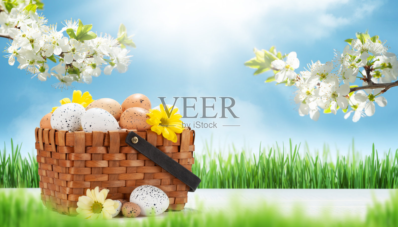 复活节贺卡和复活节彩蛋照片摄影图片