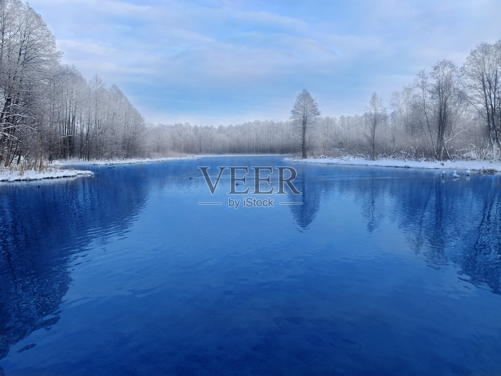 冬季景观有小湖照片摄影图片