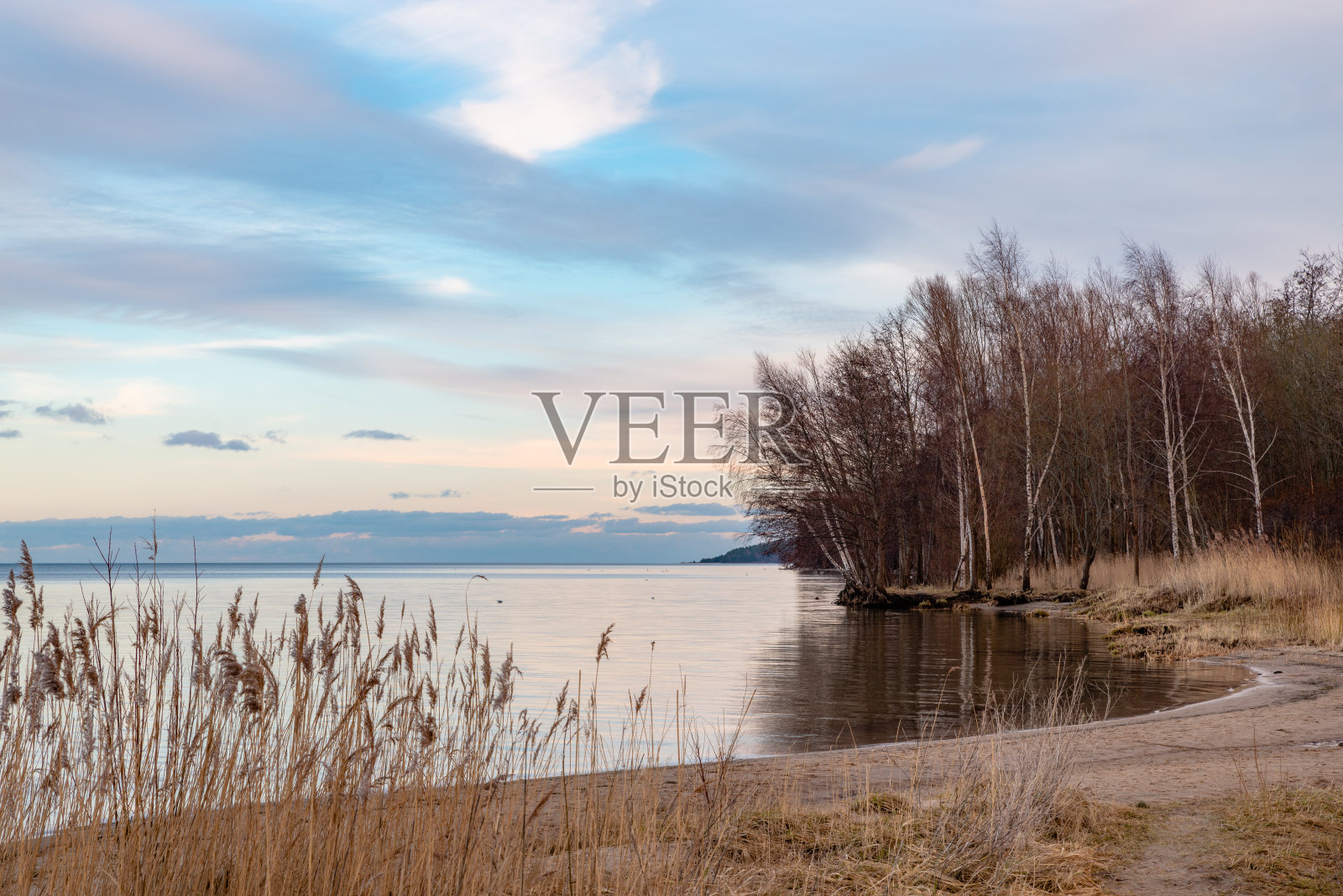 帕克海滩的冬季景观照片摄影图片